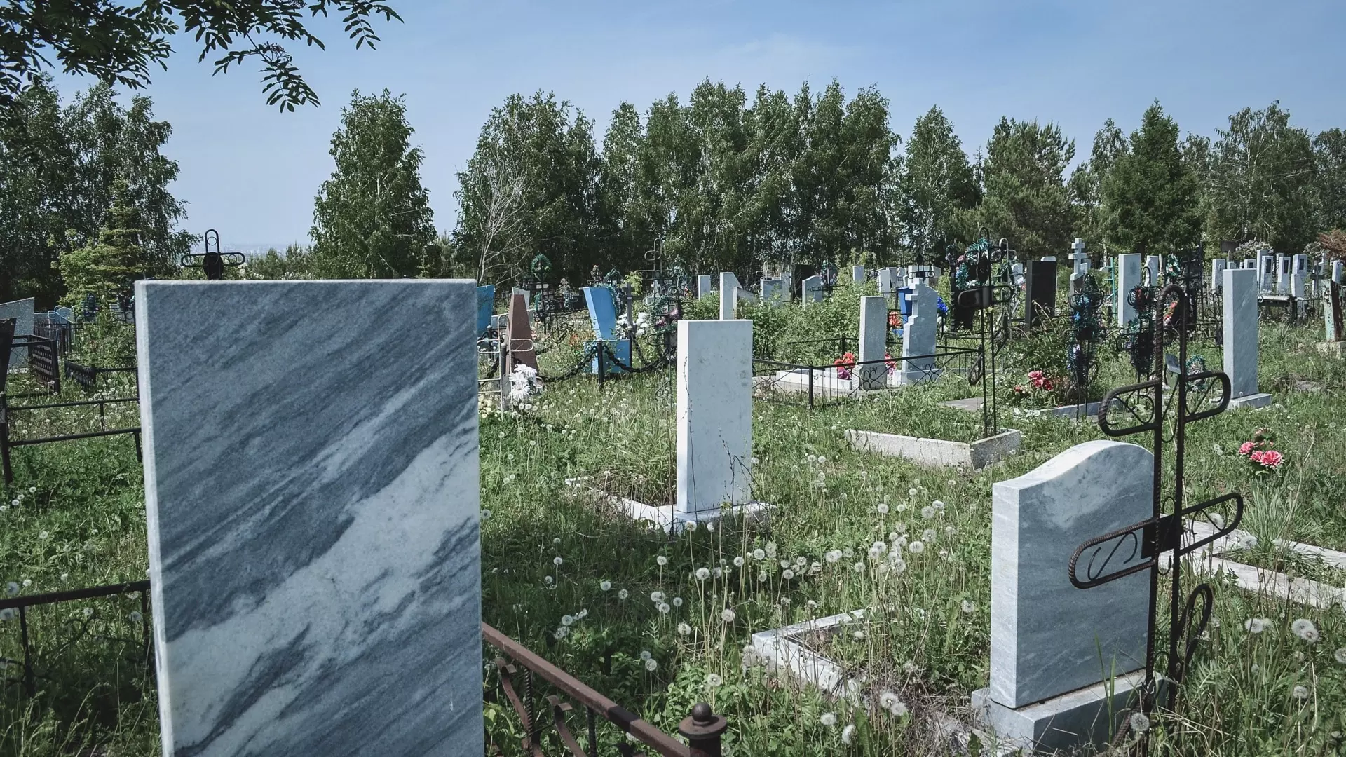 Заборьевское кладбище памятники