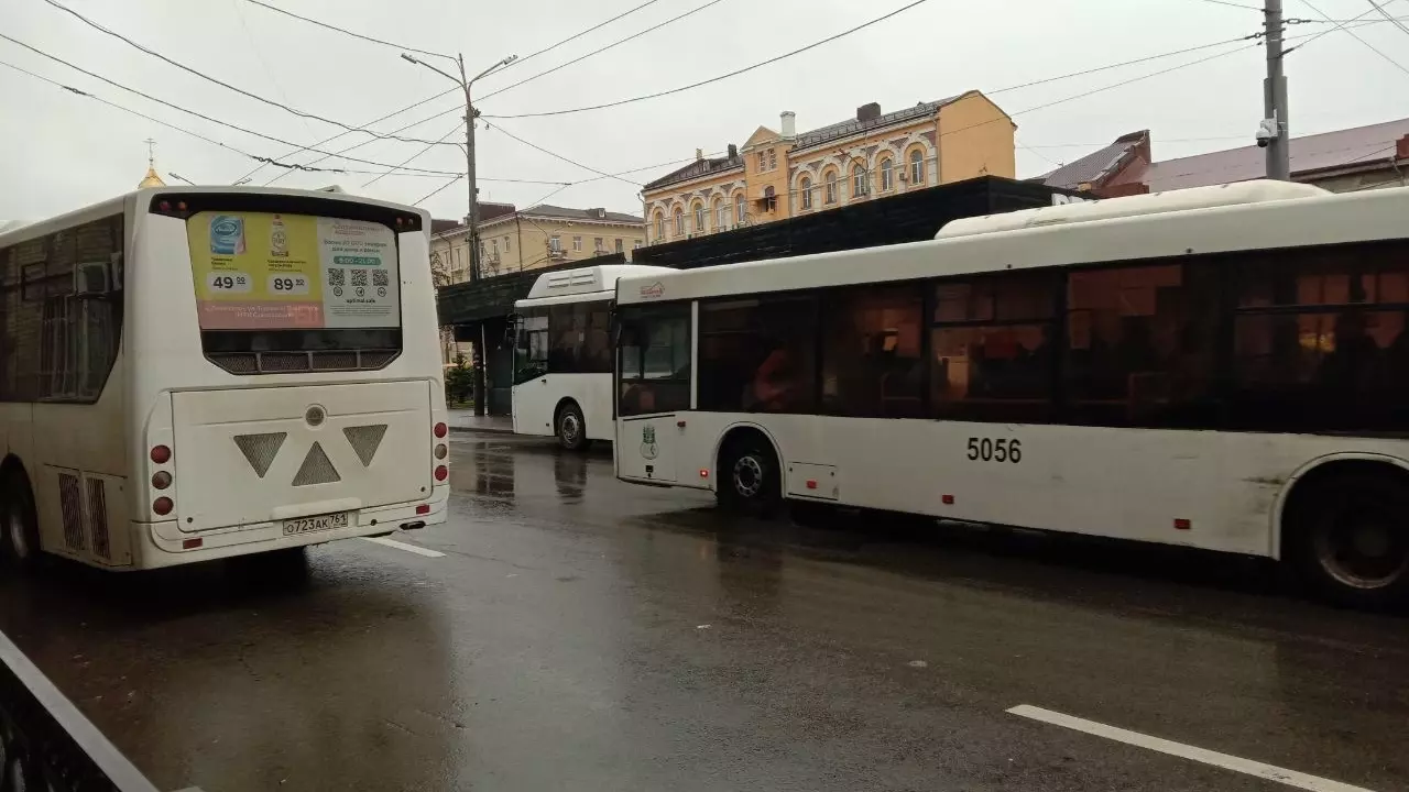 Общественница Репещук оценила, достоин ли Краснодар 33-го места по транспорту